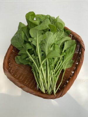 로켓루꼴라 500g